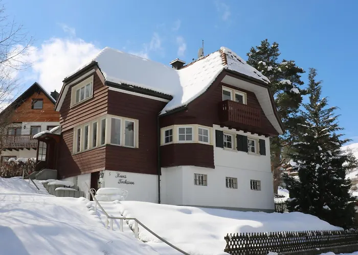 Haus Frohsinn- Feldberg Im Schwarzwald